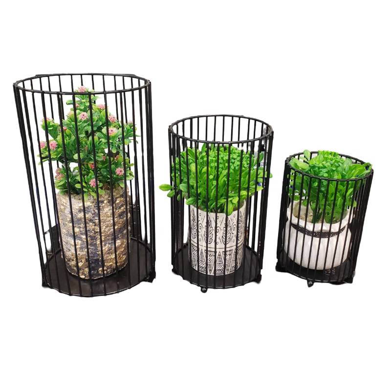 (TPM-658) Cage Set 3 Pcs w/o plants