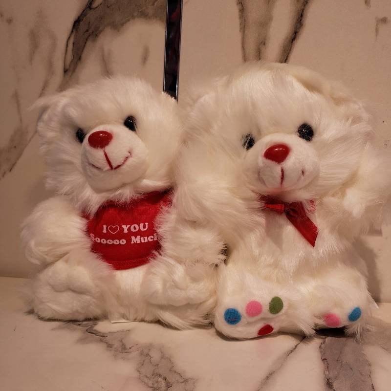 (ZN MIX BEAR 1455) 8 inch Bear Ziqi