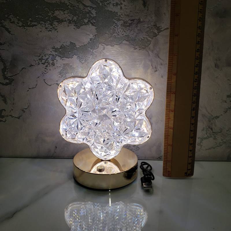 (TPM-647) Lamp 9