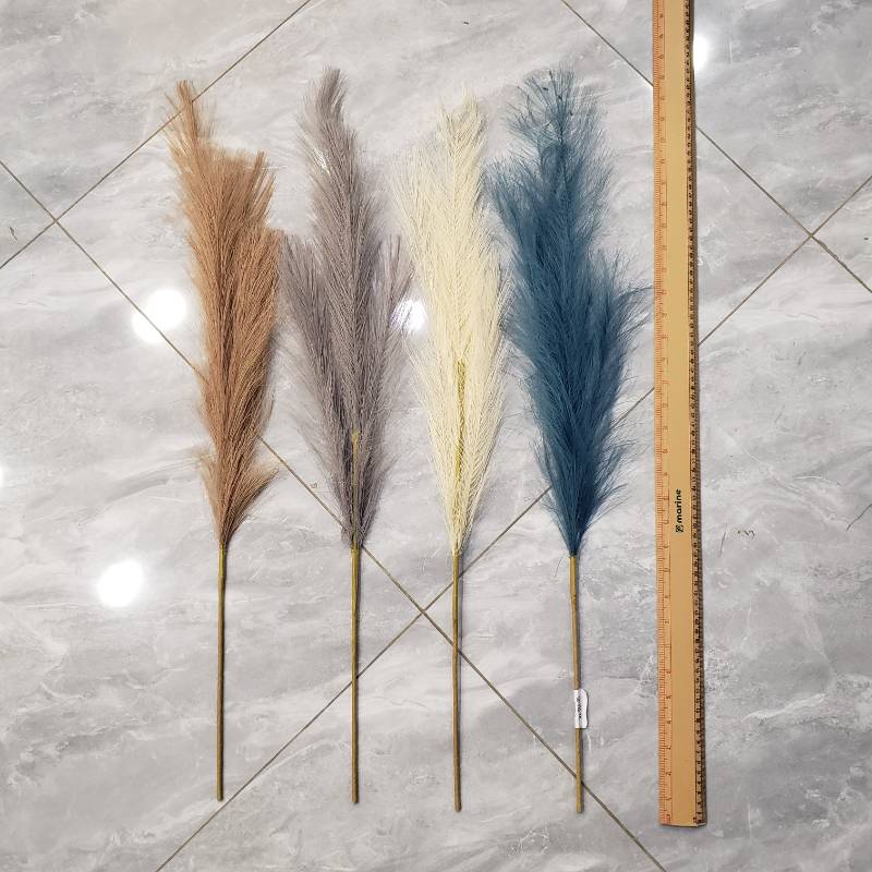 (TPM-1027) Pampas Grass