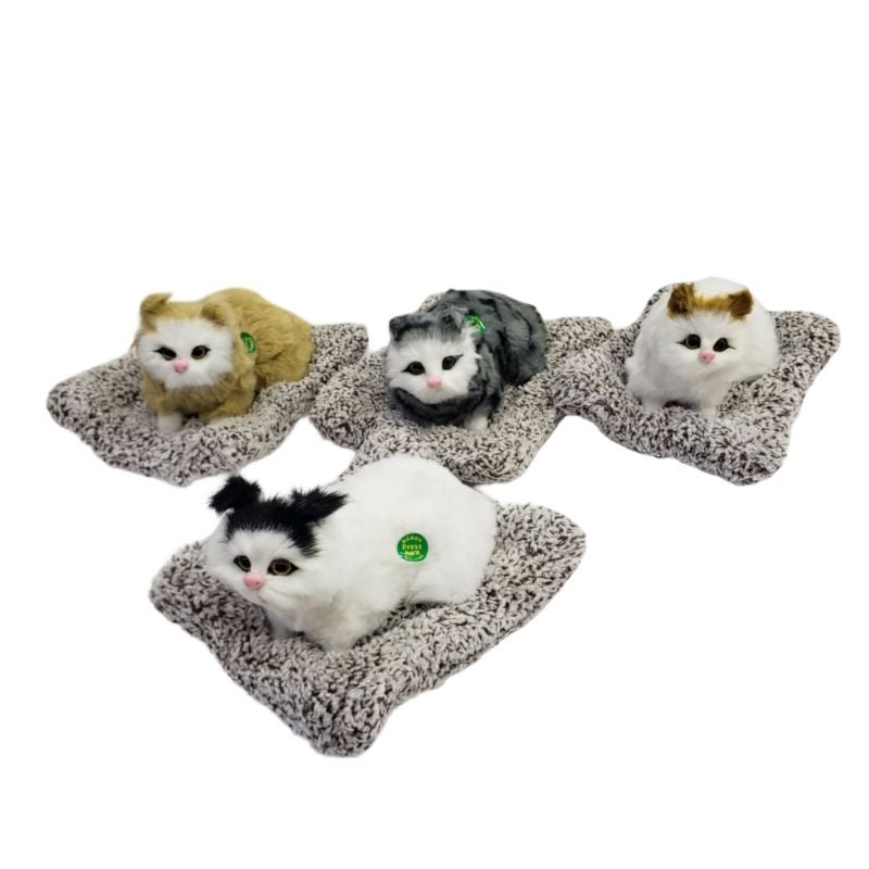 (CKM-3) Fake Animal,Mix Clr,19*15Cm,With Sound