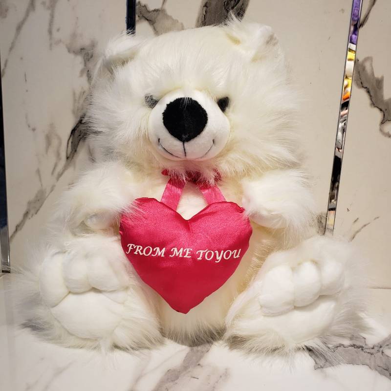 (ZN BEAR MIX 1225) 17 inch Bear Ziqi