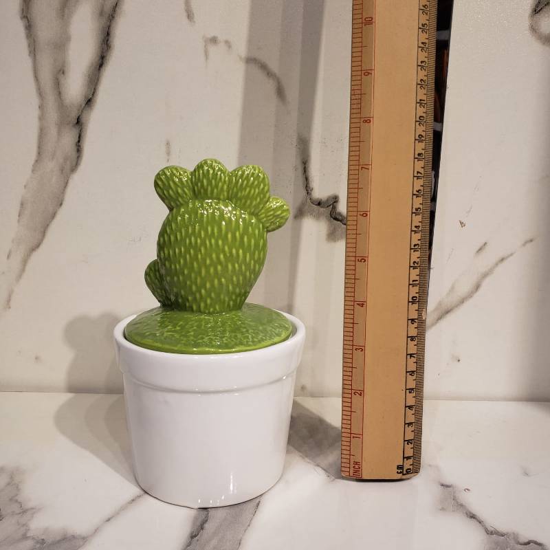 (TPM-1061) Modern Series Cactus 1