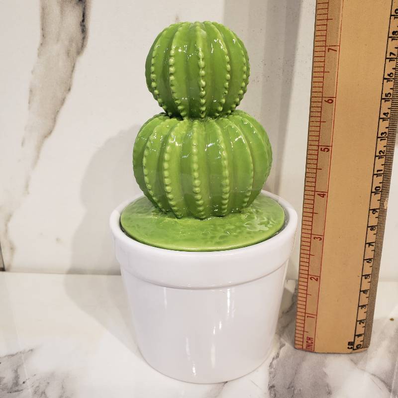 (TPM-857) Ceramic Cactus NC