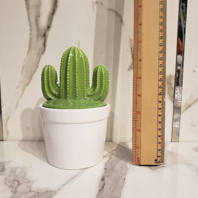 (TPM-1059) Modern Series Cactus 2