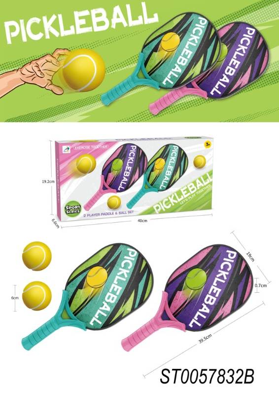 (AX1001A) PickleBall Sport Set