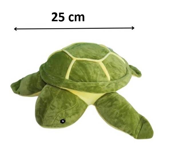 (Turtle25) Turtle 25cm Stuff Toys