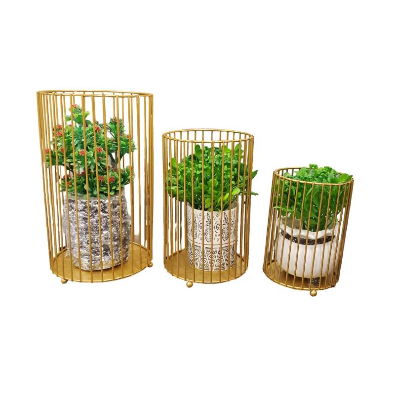 (TPM-658) Cage Set 3 Pcs w/o plants
