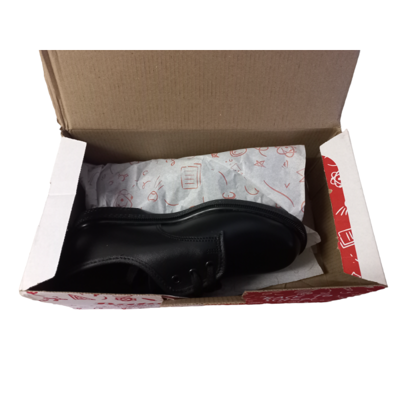 Shoes 1001