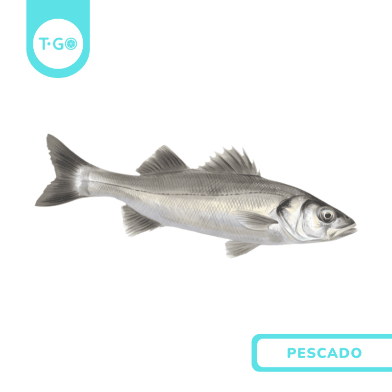 Róbalo