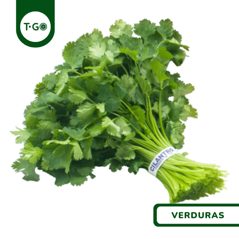 Cilantro