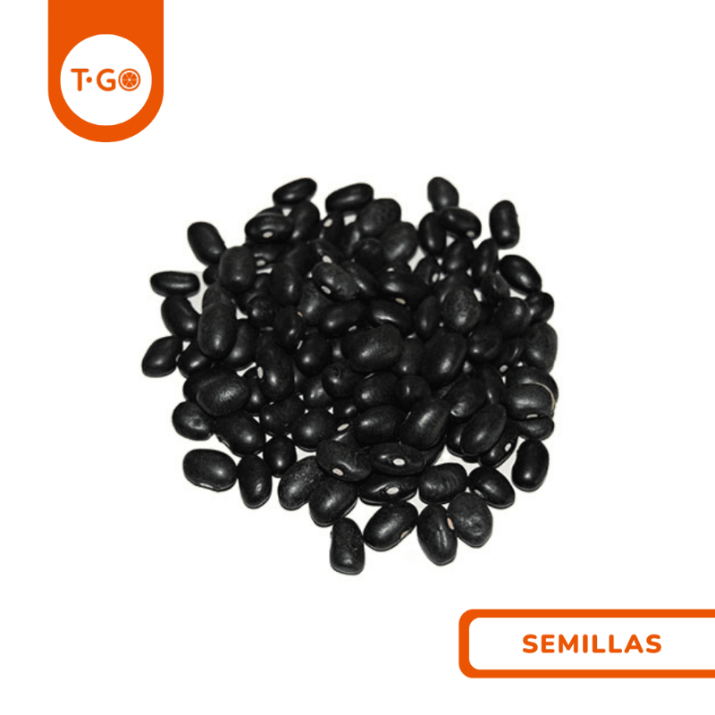 Frijol Negro