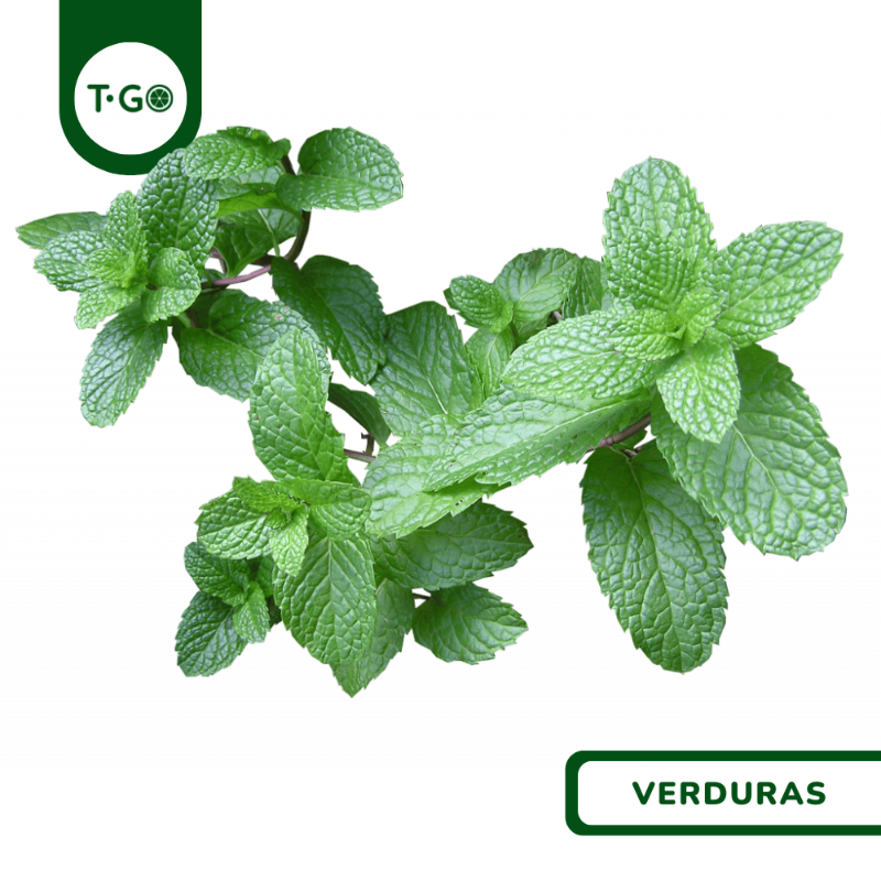 Hierbabuena