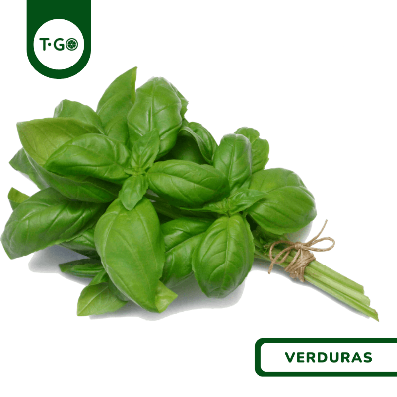 Albahaca