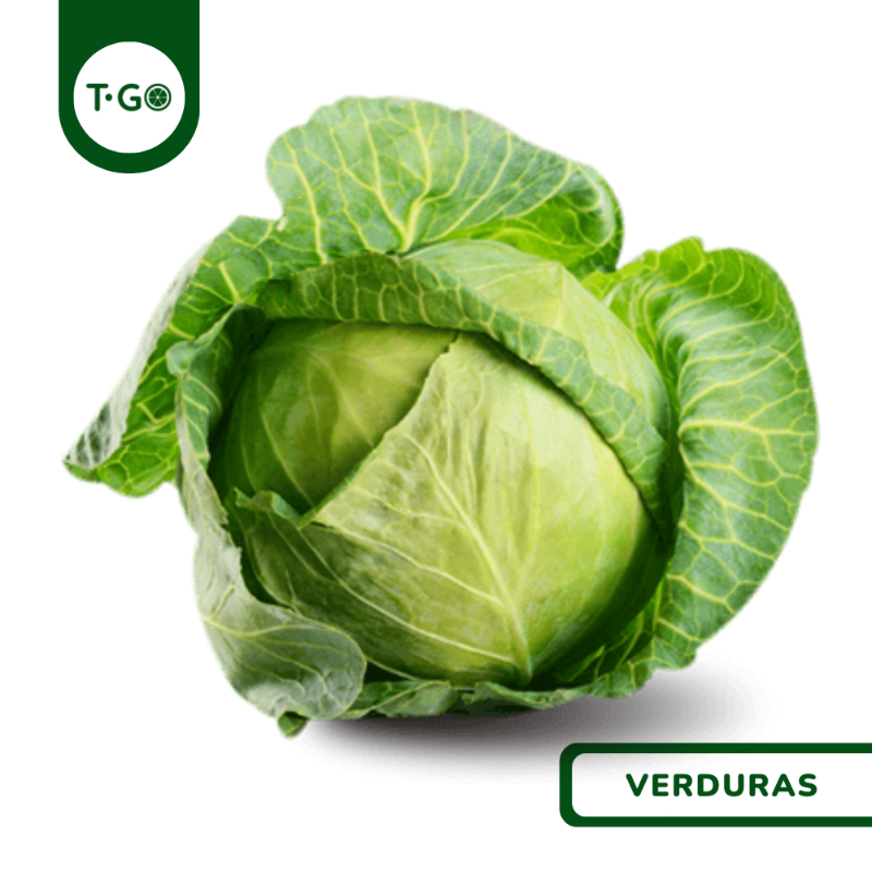 Repollo