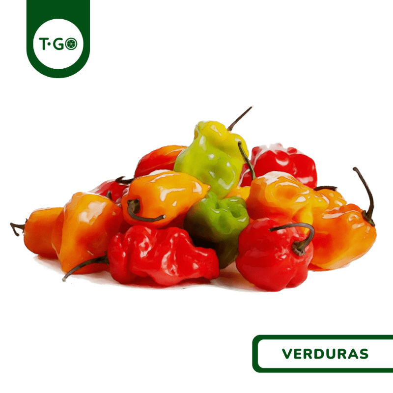 Chile Habanero