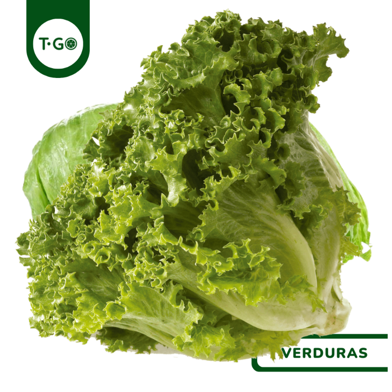 Lechuga Italiana