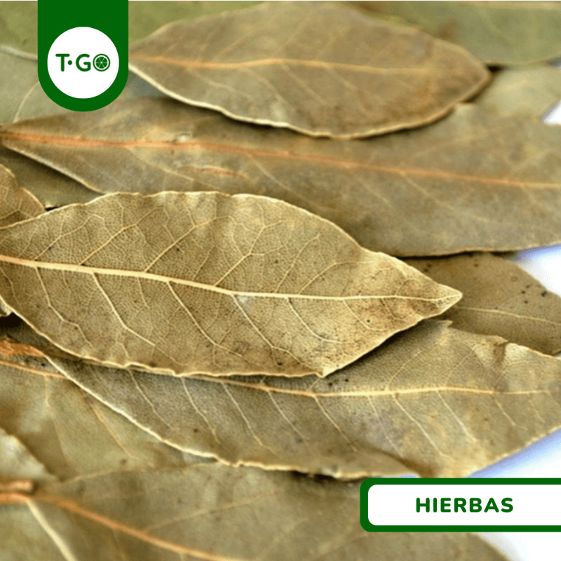 Hoja de Aguacate