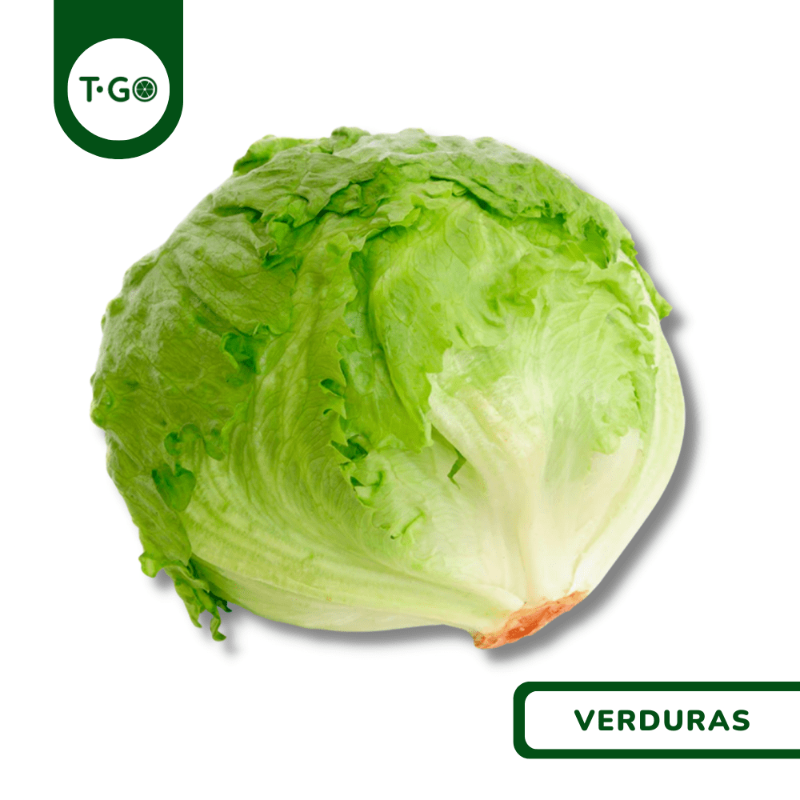 Lechuga Romana