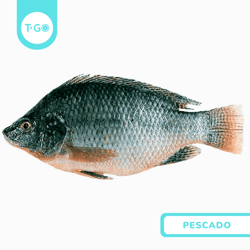 Mojarra Negra