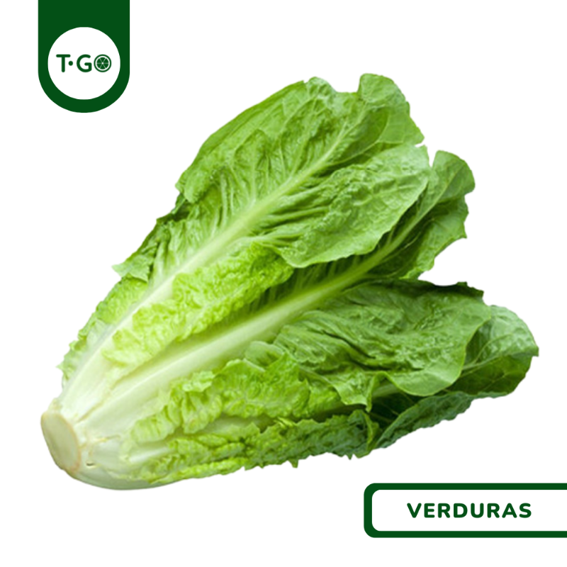 Lechuga Orejona