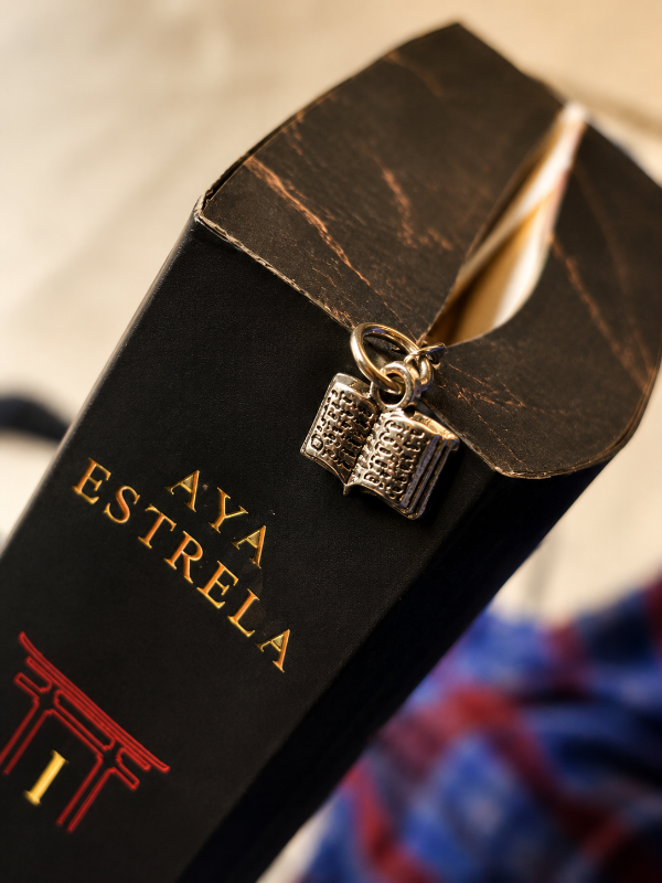 Marque page en métal : book lovers club