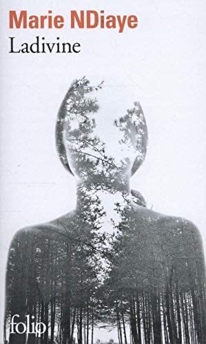 Ladivine - Marie Ndiaye