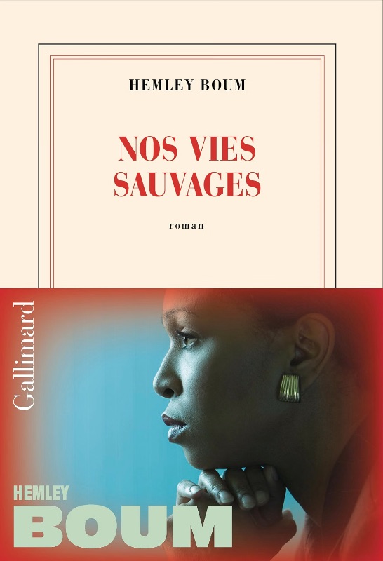Nos vies sauvages - Hemley Boum