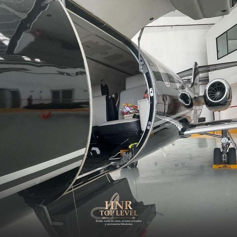 Learjet 25D 1981