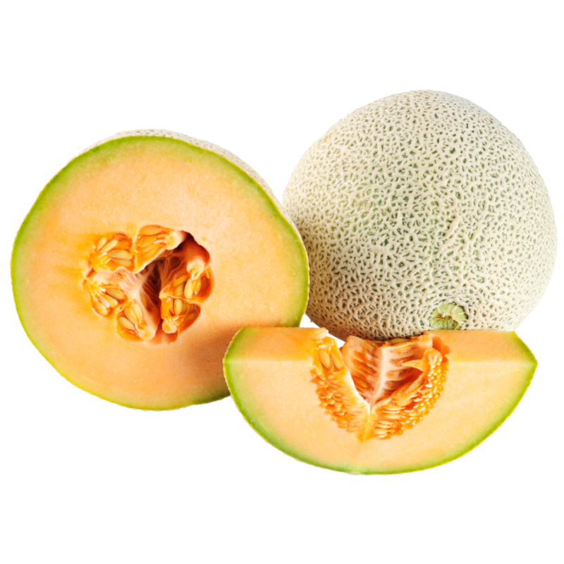 MELÓN