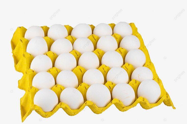 HUEVOS FRESCO BLANCO