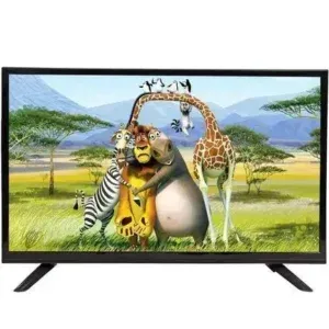 MeWe TV 24 Inch Digital