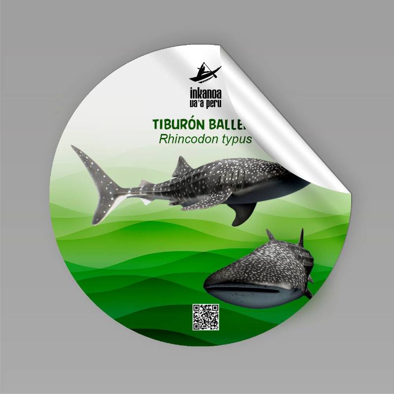 Sticker Tiburon Ballena