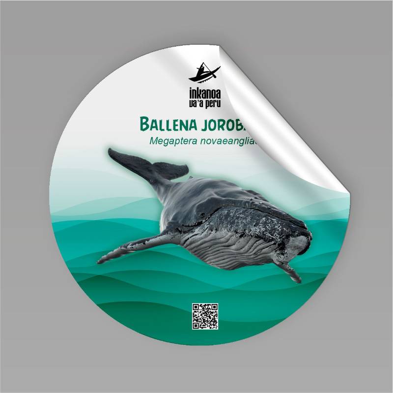 Sticker Ballena Jorobada