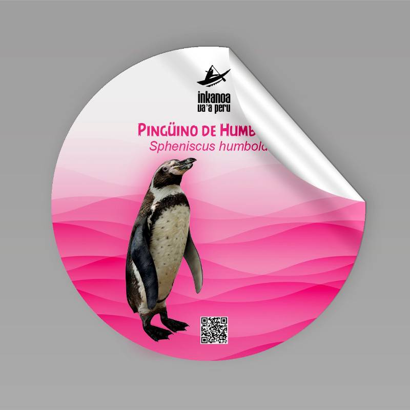 Sticker Pinguino de Humboldt