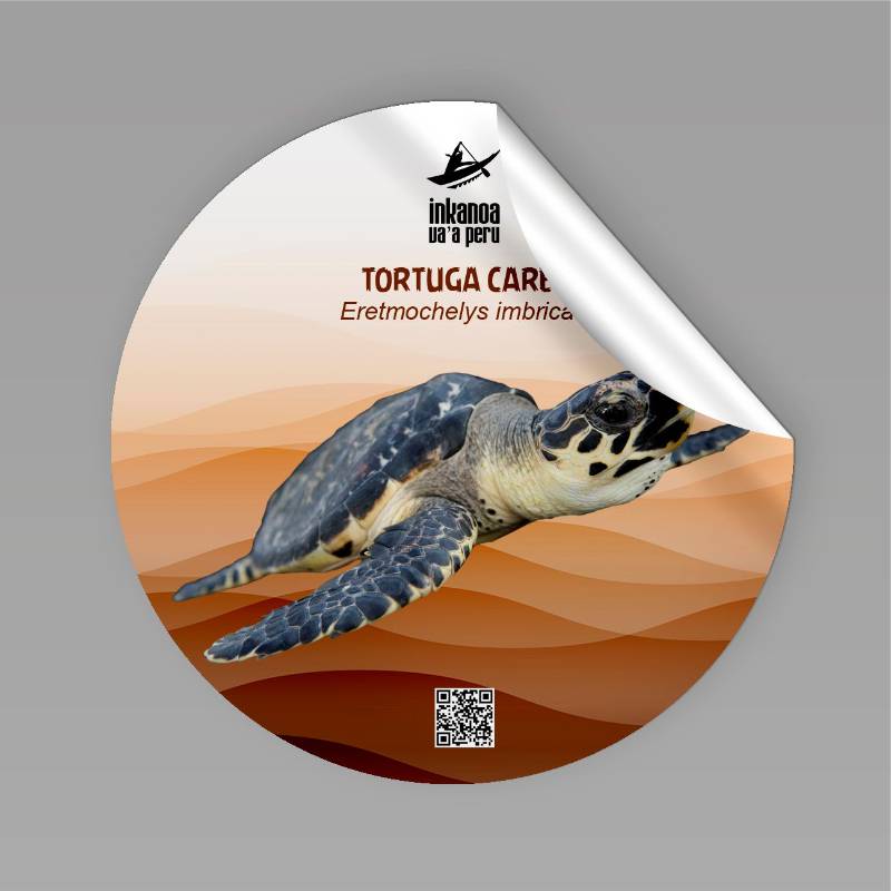 Sticker Tortuga Carey