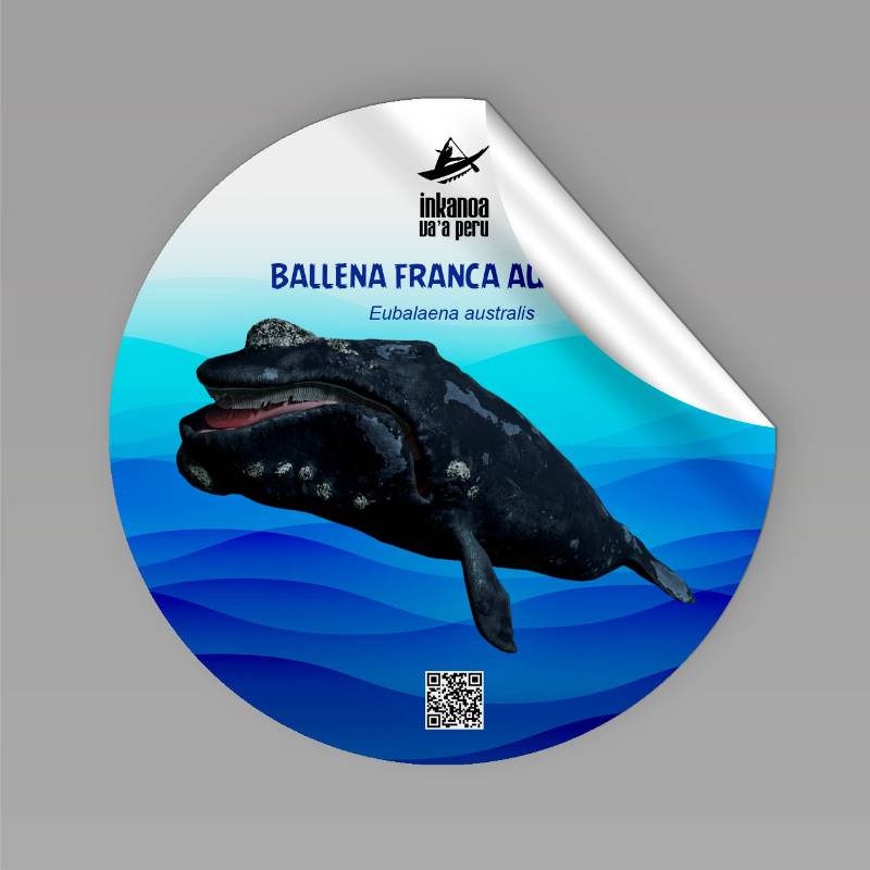 Sticker Ballena Franca