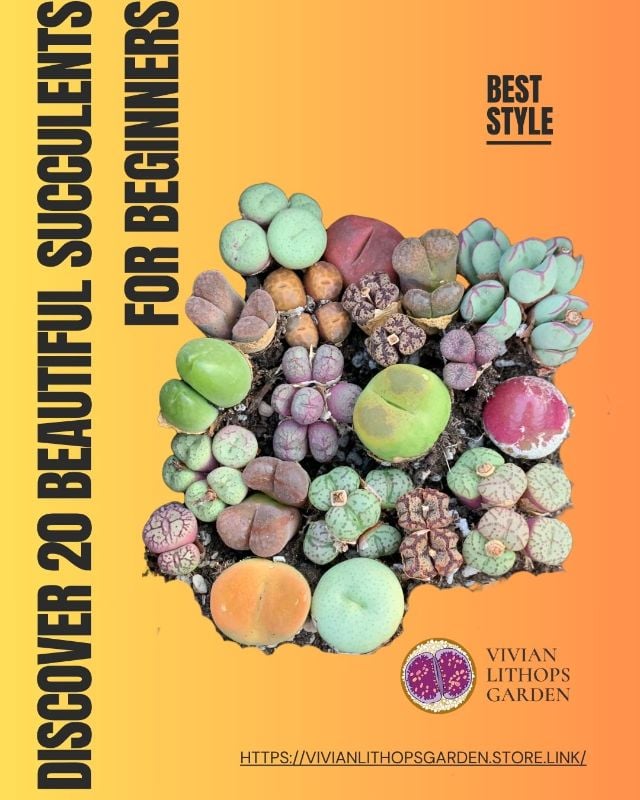 Discover 20 Beautiful Succulents for Beginners (20 pcs)