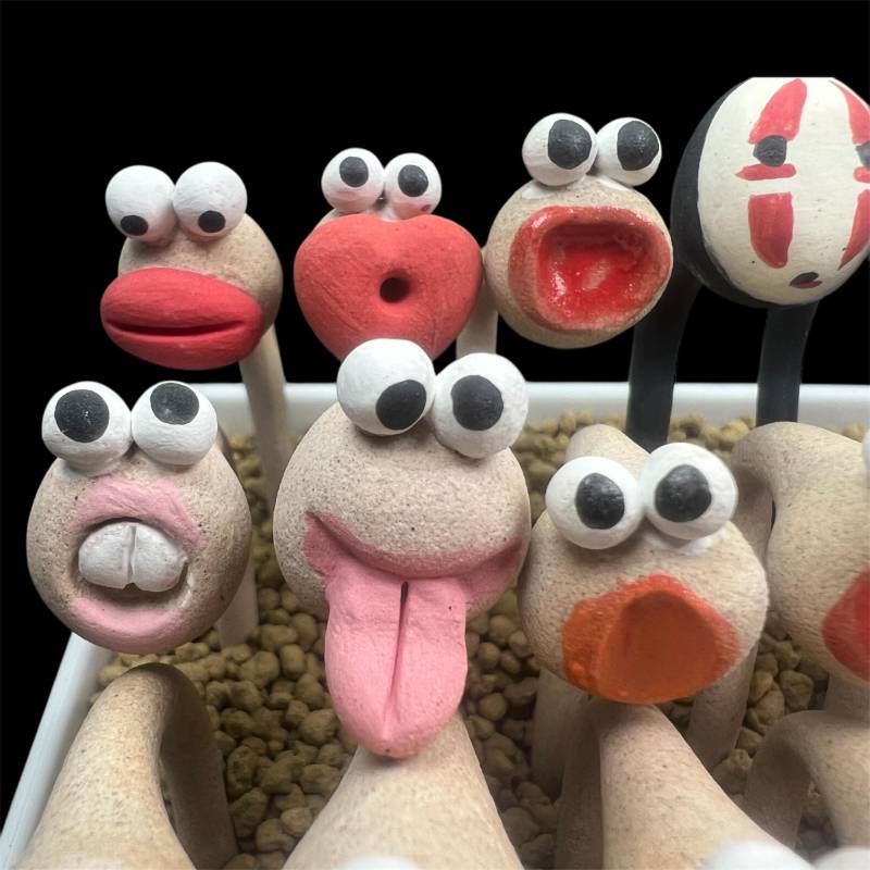 Handmade pot decor - Silly worms & No Face ( 1 pc )