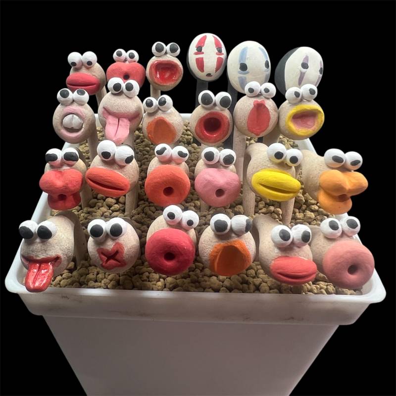 Handmade pot decor - Silly worms & No Face ( 1 pc )