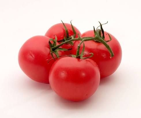 Tomato (தக்காளி)