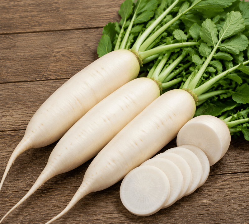 Radish (முள்ளங்கி)