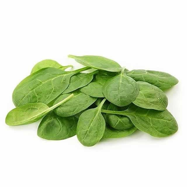 Spinach (பசலைக்கீரை)
