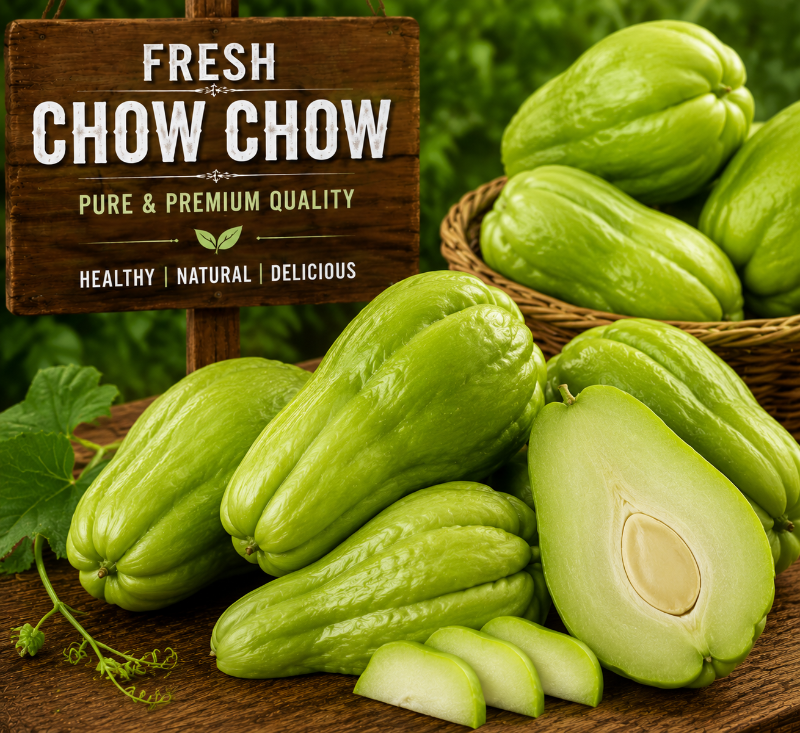 Chow Chow (சௌ சௌ)