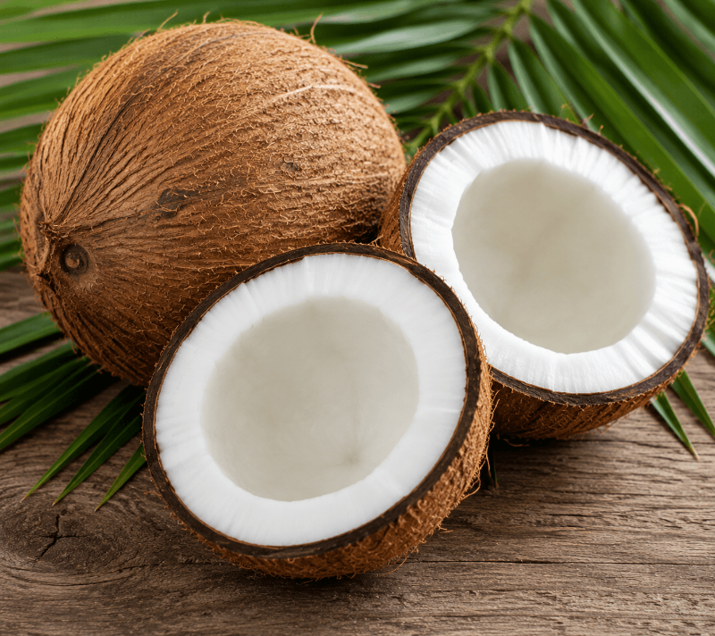 Coconut (தேங்காய்)