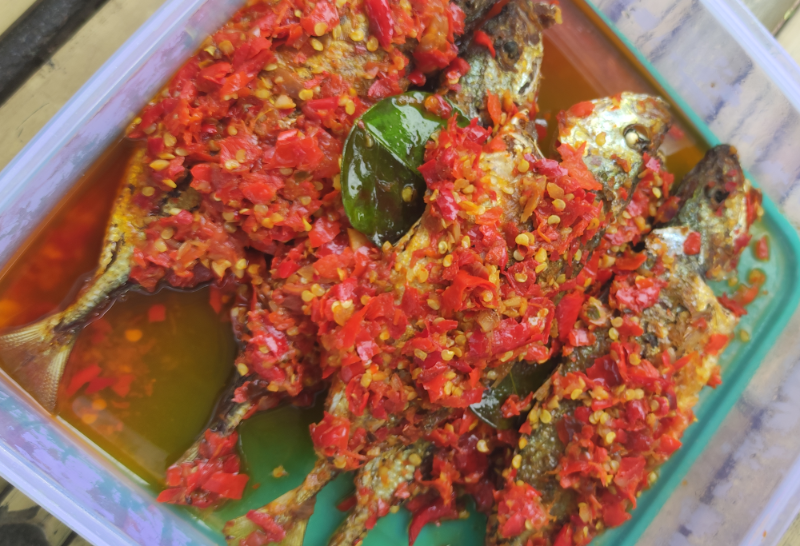 Katombo Goreng Sambel