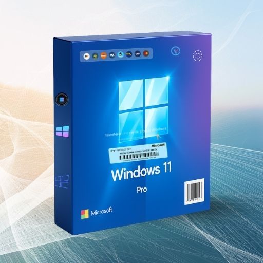 Windows 11 Pro