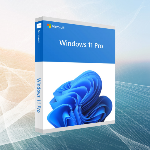 Windows 11 Pro