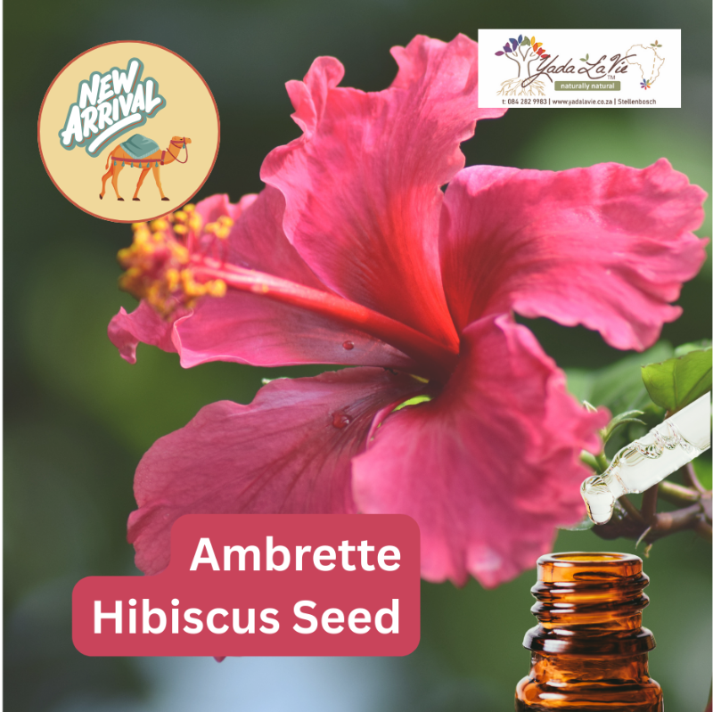 AMBRETTE organic pure EO