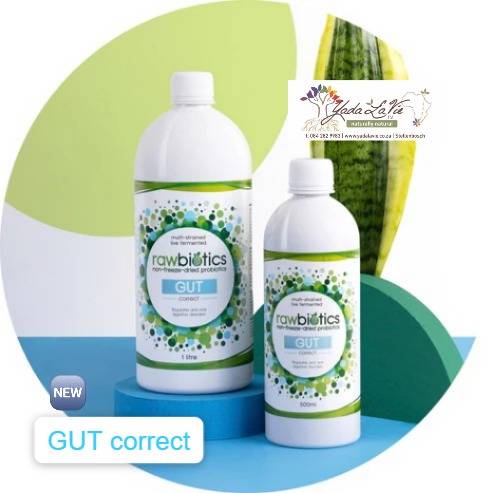 rawbiotics GUT correct